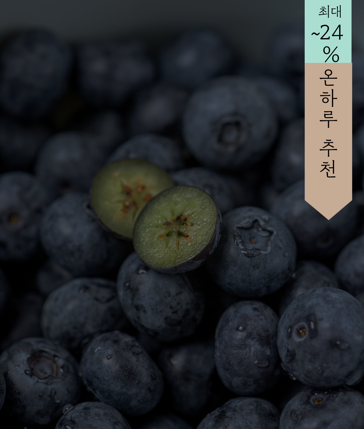[5월 9일 공개] 온새미 유기농 블루베리